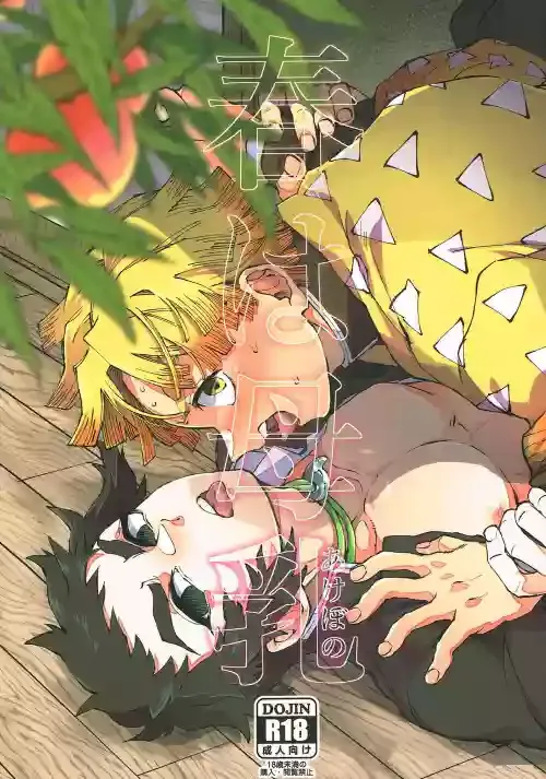 [Mekao (Denmeka)] Haru wa bonyu (Kimetsu no Yaiba)