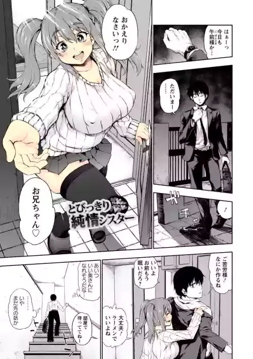 [Kanzume] Tobikkiri Junjou Sister [colored heroine]