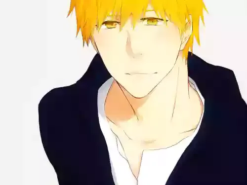 (3)] Raku ga ki-dzume ⑤(Bleach)