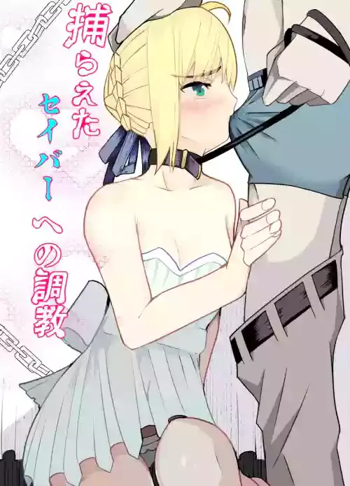 [Kiba o Muku (Mucuki Va)] 捕らえたセイバーへの調教 (Fate/stay night)