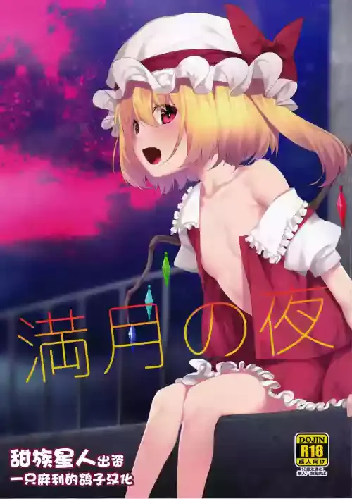 (Kouroumu 15) [Youyoumu (Nigo)] Mangetsu no Yoru ni (Touhou Project) [Chinese] [一只麻利的鸽子汉化x甜族星人出资]