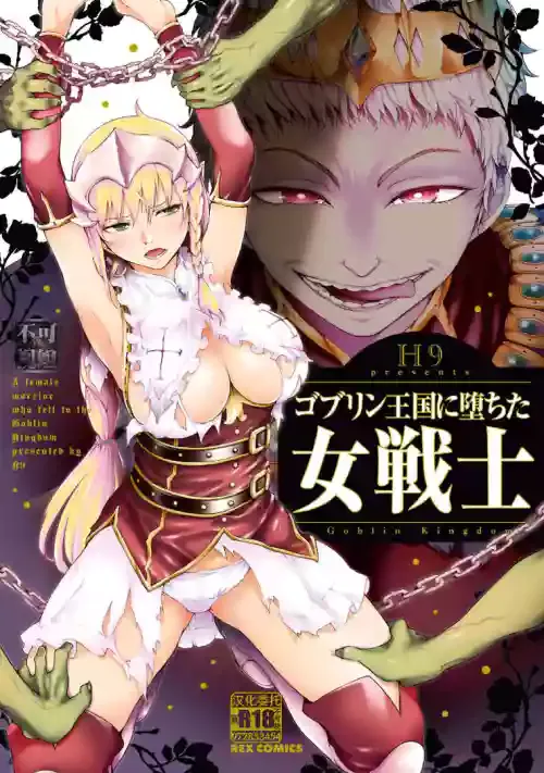 [H9] Goblin Oukoku ni Ochita Onna Senshi [Chinese] [雅居贤辈x真不可视汉化组] [Digital]